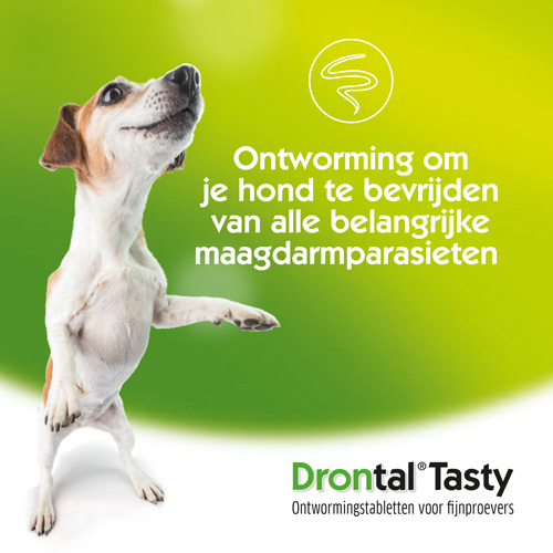 Drontal-Tasty-NL-03